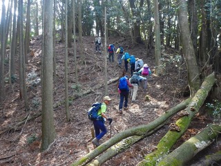 DSCN5415.jpg