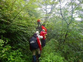 DSCN6735.jpg