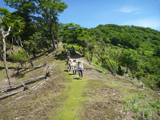 P1130613.JPG