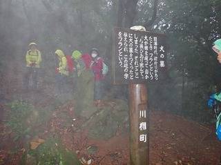 P2192293.jpg
