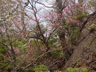 P4280015.jpg